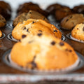 Close-up of freshly baked chocolate chip muffins in a muffin tin, with the focus on the front muffin and others blurred in the background.
