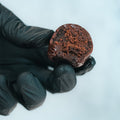 A hand in a black glove holds a bitten Protein Buff Pops - Death By Chocolate, revealing its rich, dense chocolate cake filling against a light background—an irresistible grab-and-go treat.