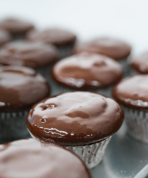 Rows of chocolate cupcakes with glossy, smooth chocolate icing, arranged closely together on a tray. The focus is on the front cupcake, with others blurred in the background.